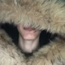 Dudik