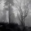 winter337