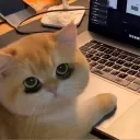 Саша