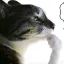 projimmyjohn7