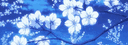 Sentimmental profile banner