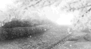 ek profile banner