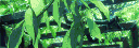 hh. profile banner
