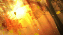 Andy profile banner