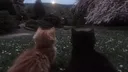 đđšđ«đŹđ đđĄđąđđŻđđŹ server banner