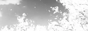 KuA profile banner