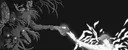 xel profile banner