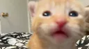 ꧁¿Drash-y?꧂ server banner