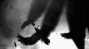 Ahmed profile banner