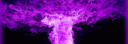 SEKT profile banner