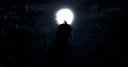 RomiDal profile banner