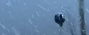 BreadBirb profile banner