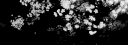 adri ꨄ profile banner
