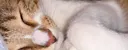 Kimi profile banner