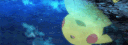 Kate profile banner