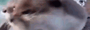 !Empan profile banner
