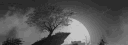 NobreEsquecido profile banner