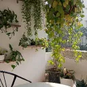 🍵 Tiệm Trà & Quán Trọ 🍵