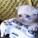 Gamer Kitty