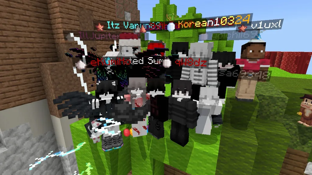 Ducks server banner