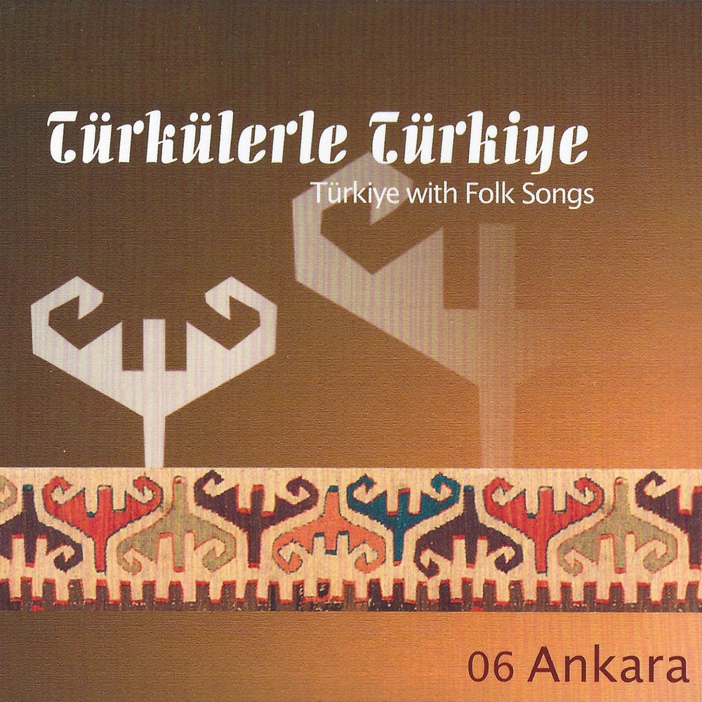 Bu Gece Uyumamışam