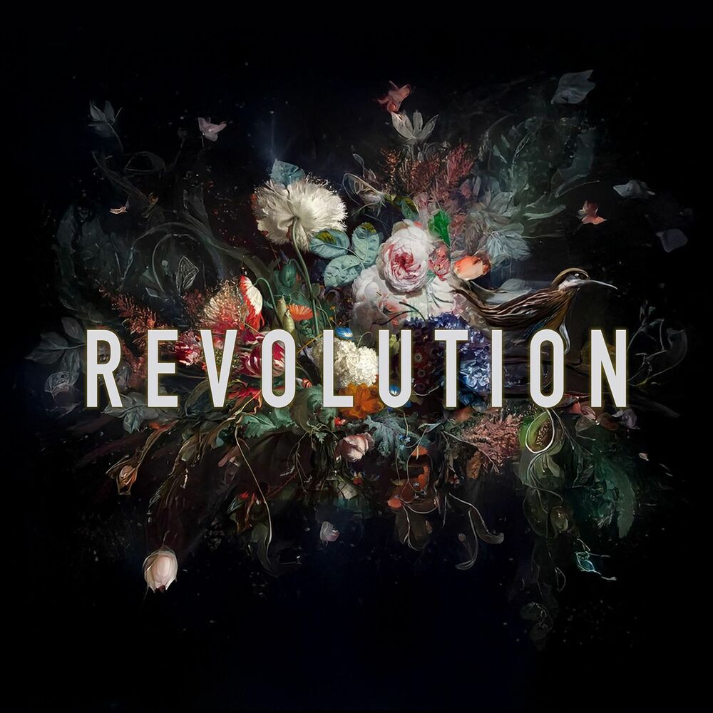 Revolution (Acoustic Version)