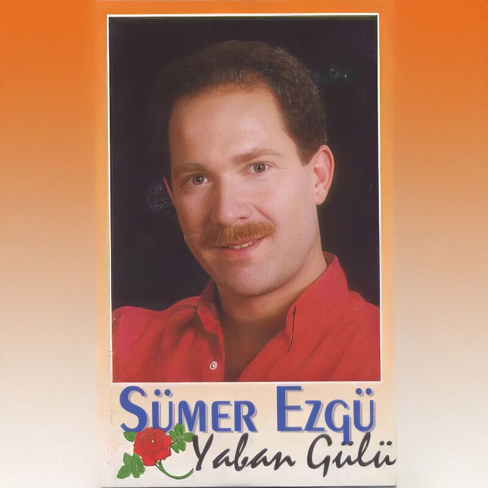 Denize Dalmayınca