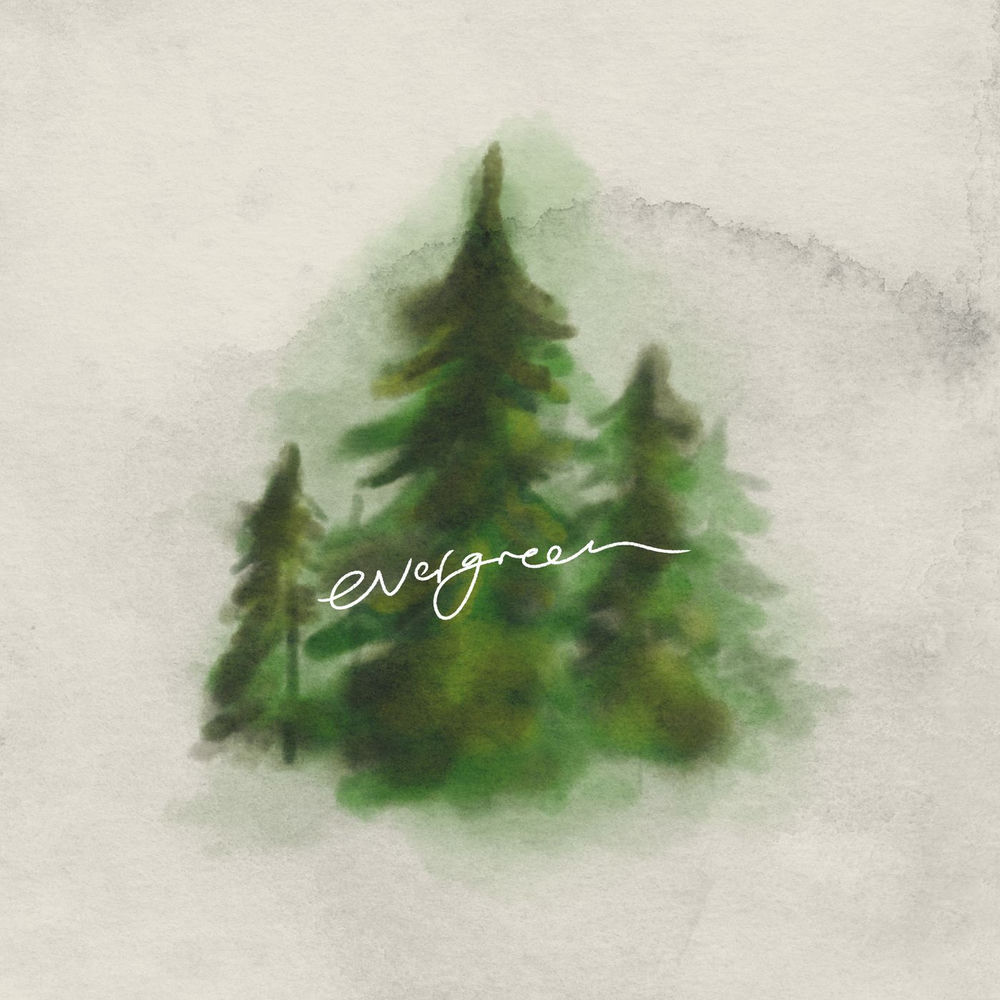 Evergreen