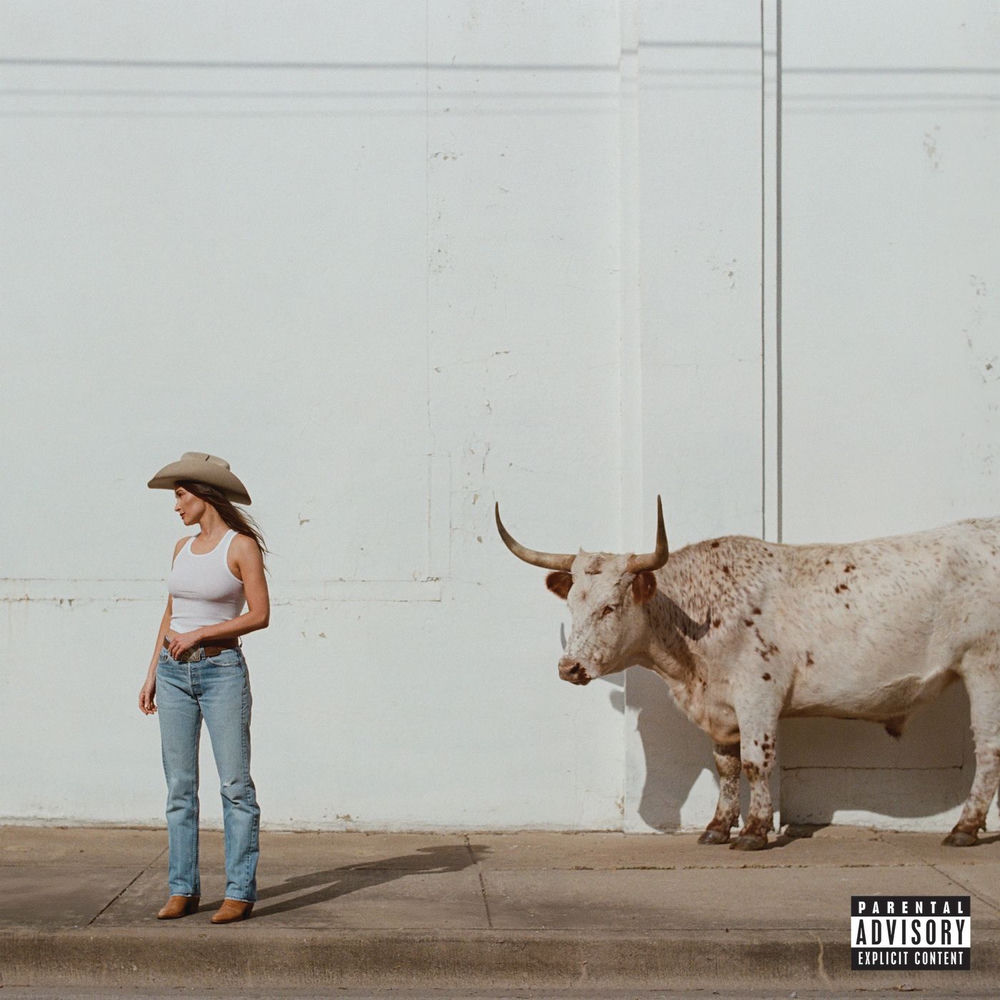 Everybody Wants To Be A Cowboy