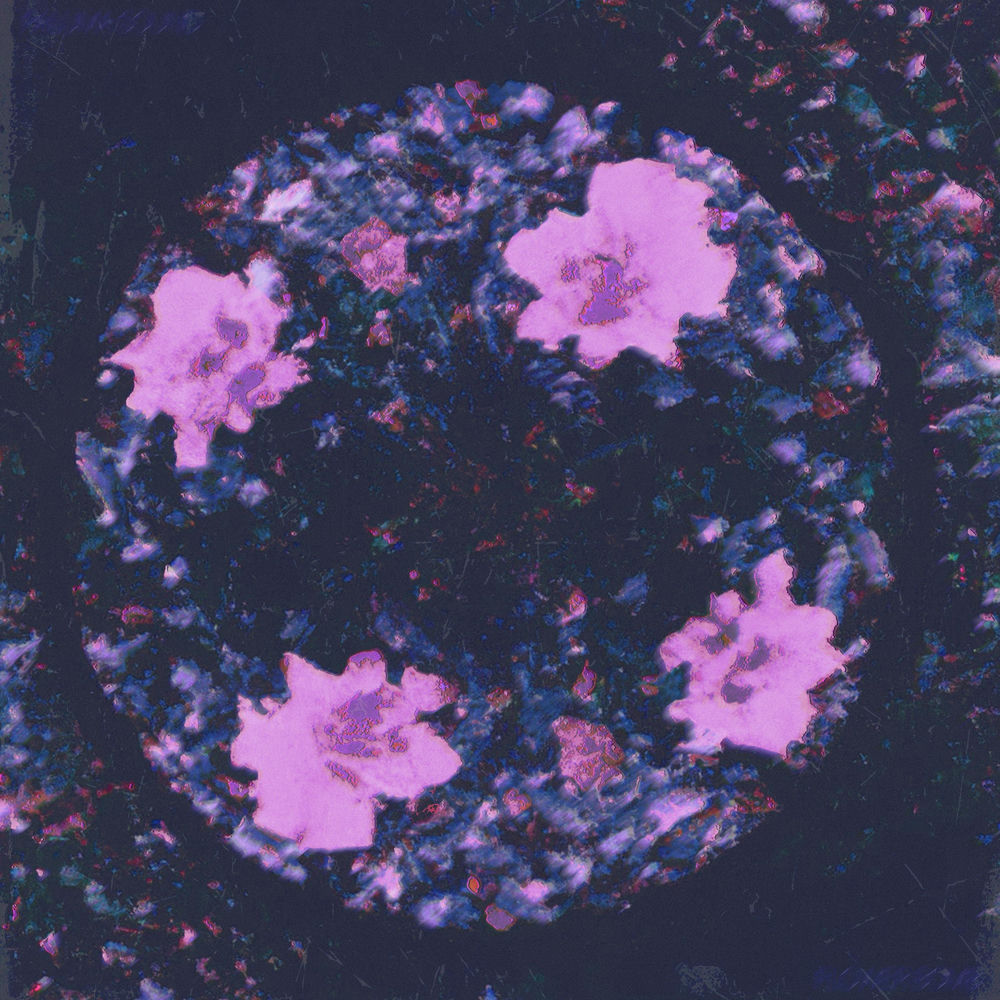 Flowerbomb (Dj Cinéma Quartier Latin Remix)