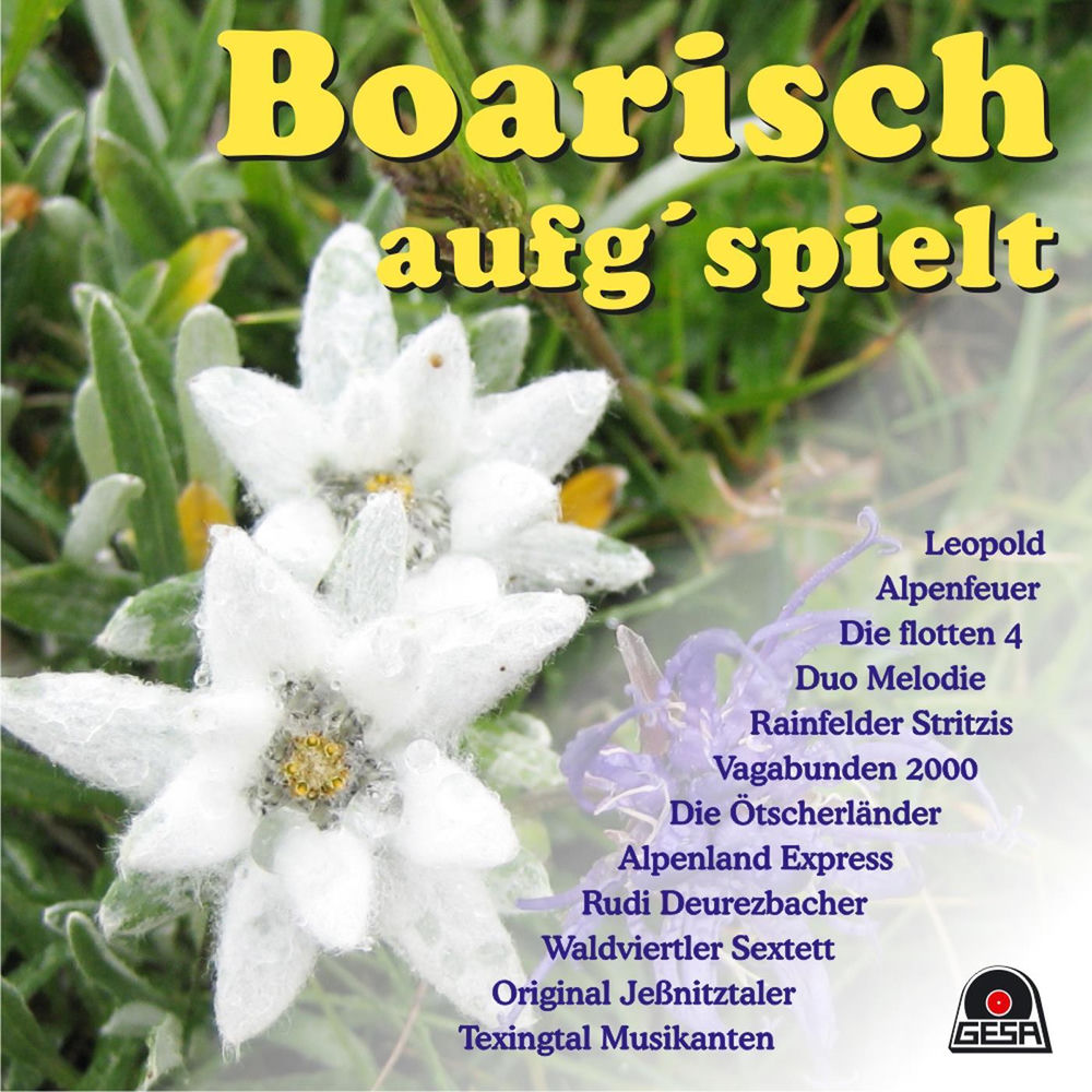 Immer gern boarisch tanzen