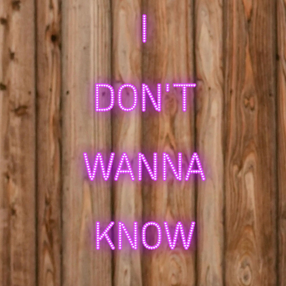 I DON'T WANNA KNOW cover art