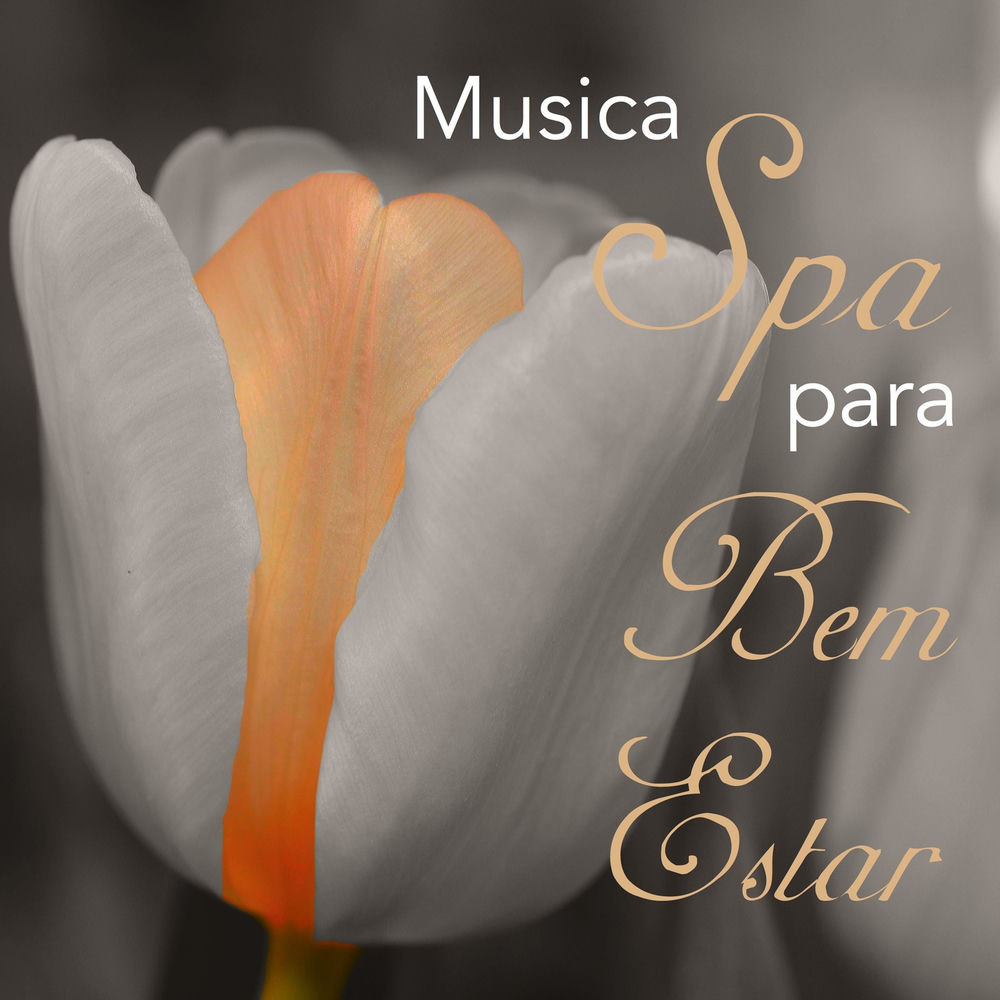Relaxamento & Meditação Clube