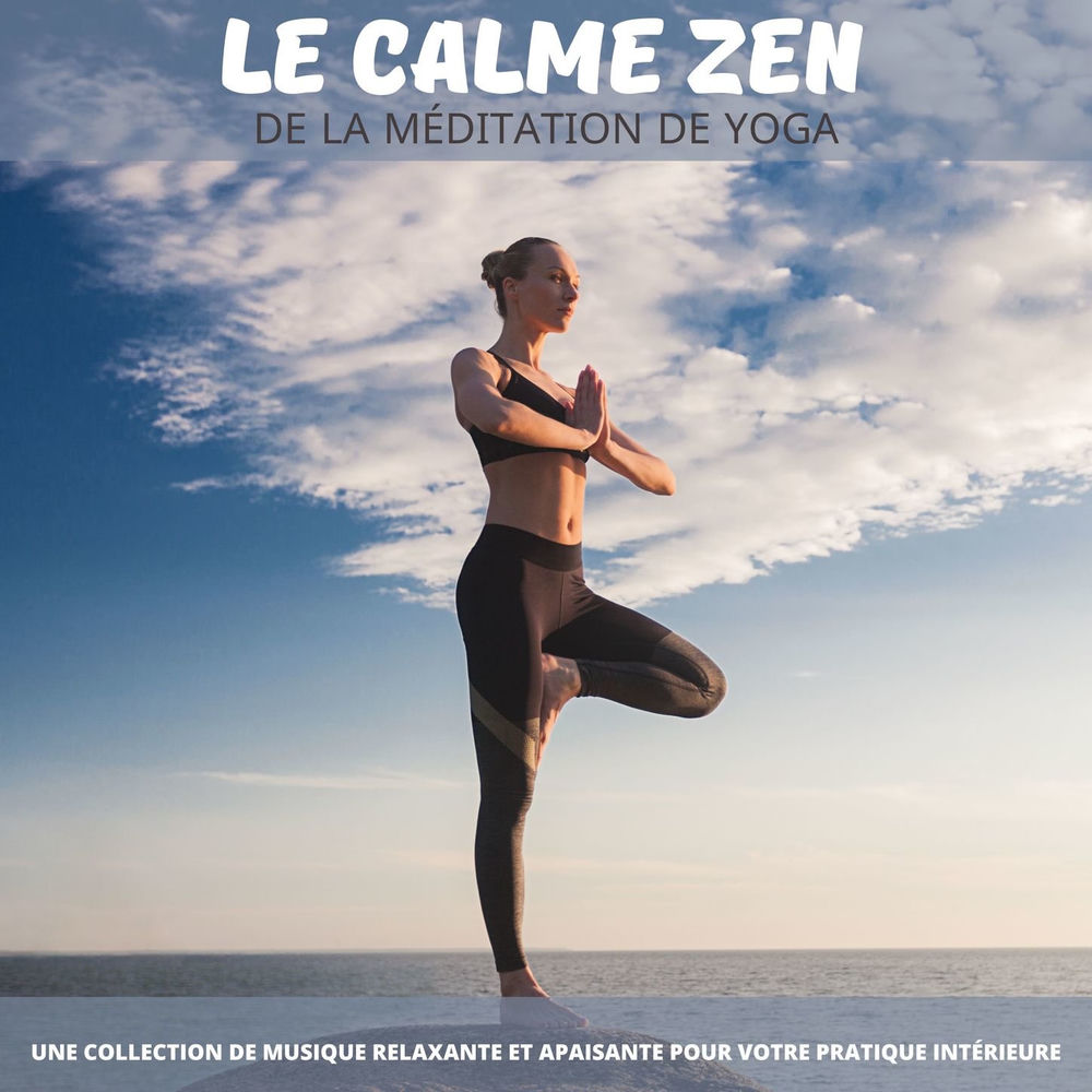 Musique pour Yoga Maestro