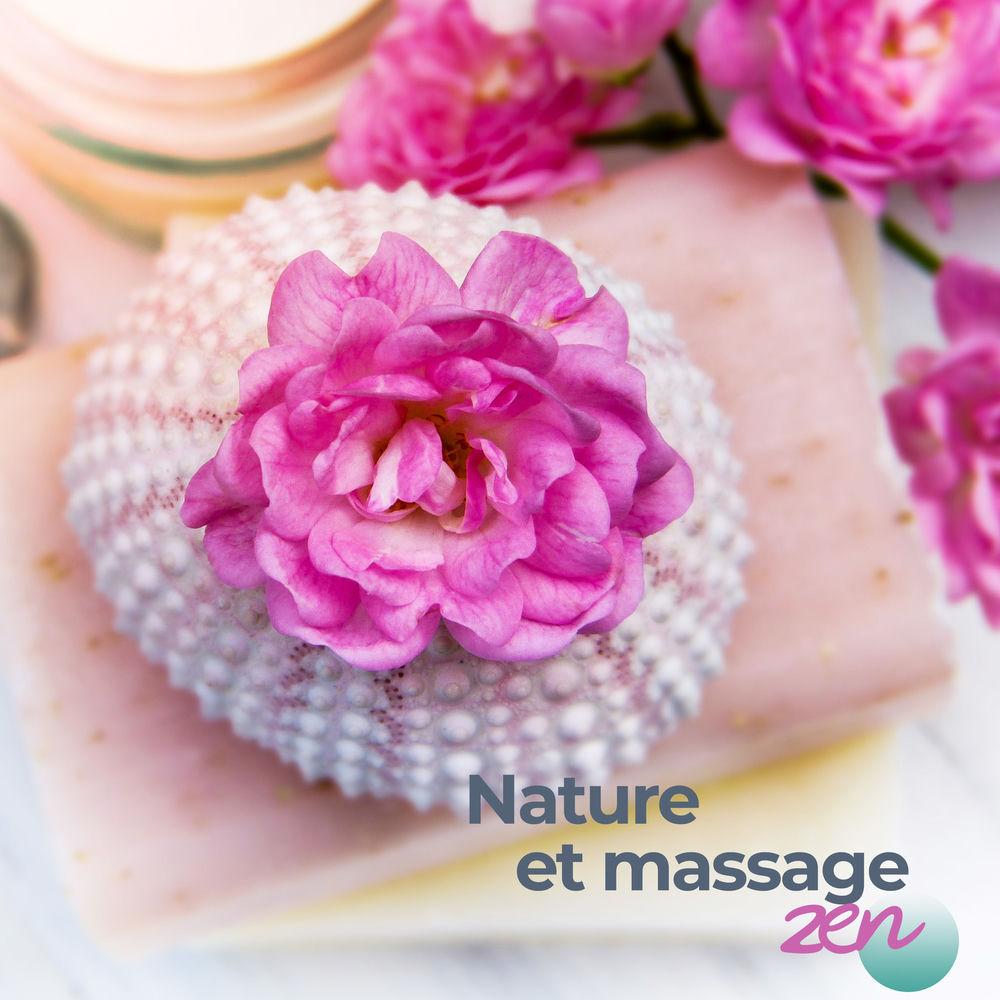 Buddhist méditation académie