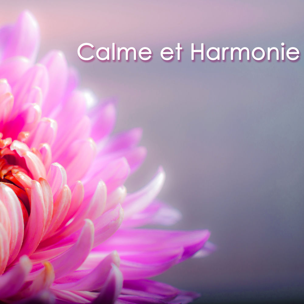 Calme