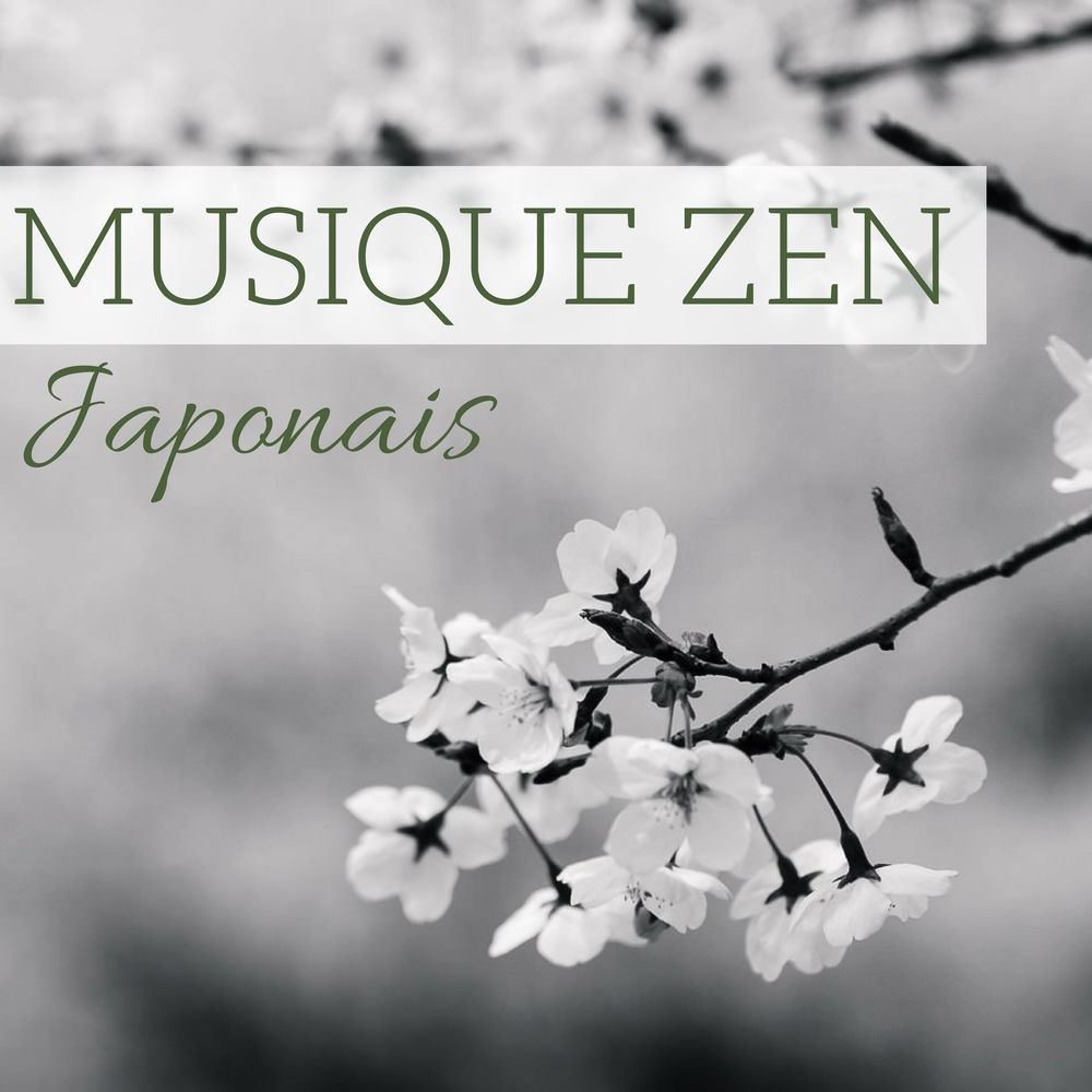 Jardin japonais