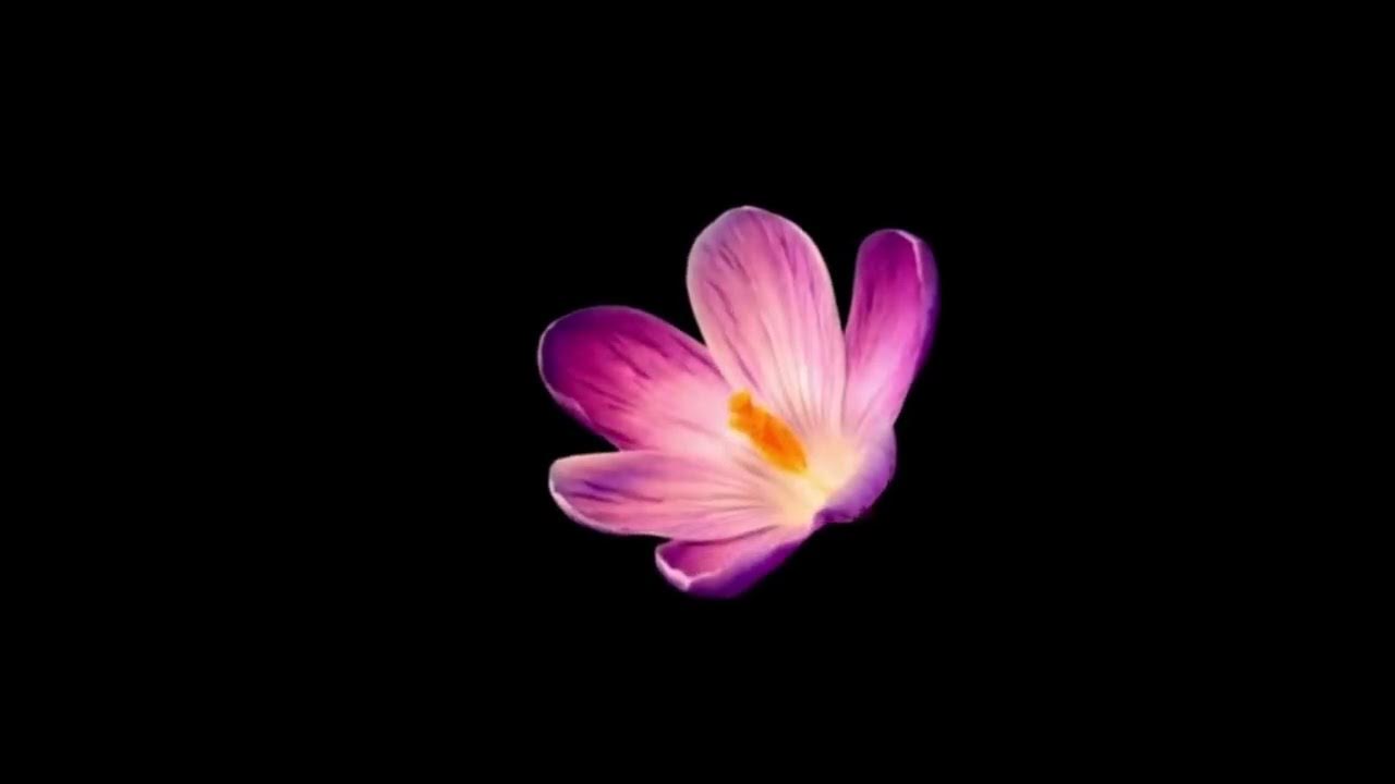 Worry (Ultra Slow + Loop) — Best Part | LONOWN