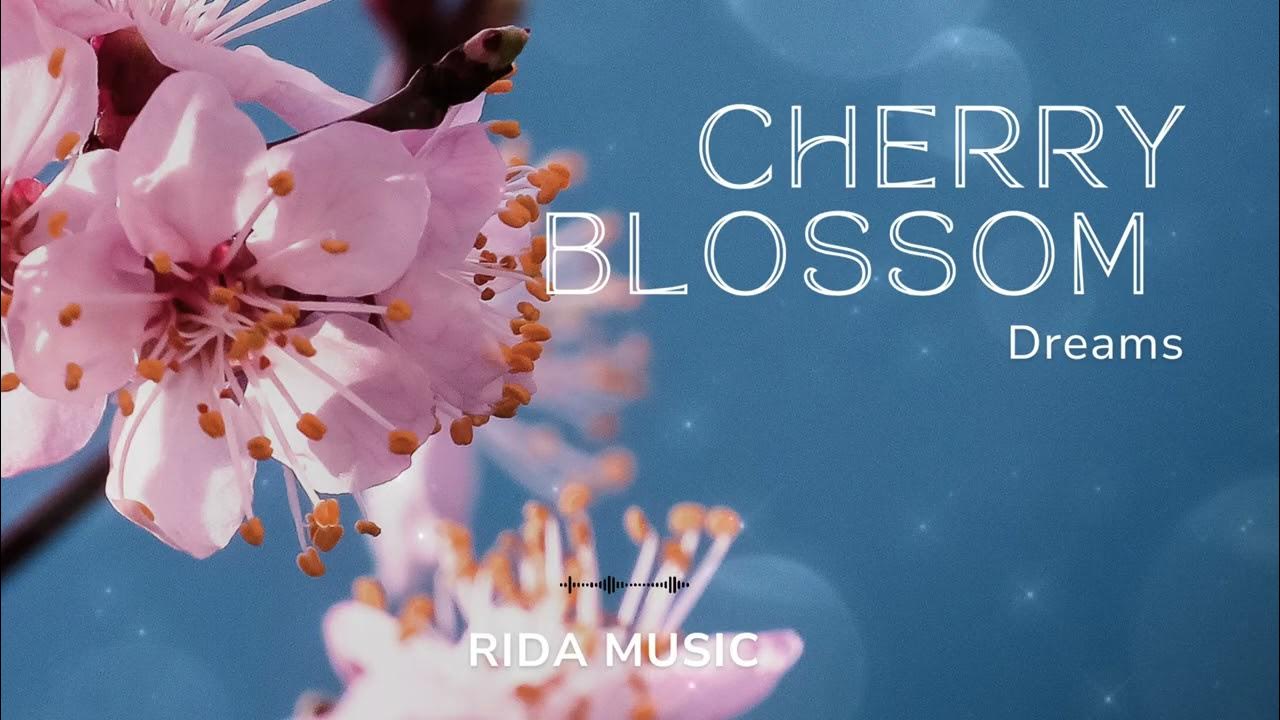 Rida - Cherry Blossom Dreams (Official Audio) 🌸