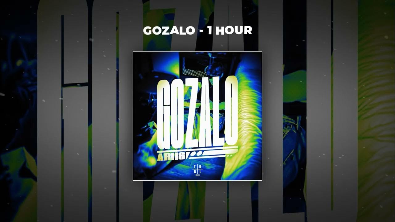[1 HOUR PHONK] Ariis - GOZALO
