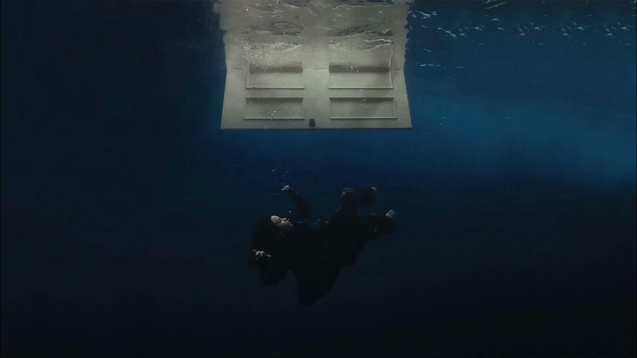 WILDFLOWER - Billie Eilish (1 hour)