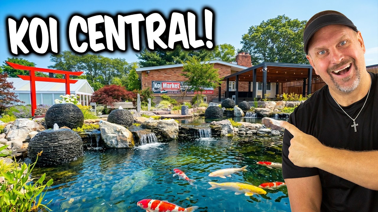 Touring Long Island’s Most Expensive Koi Facility!  $$$$