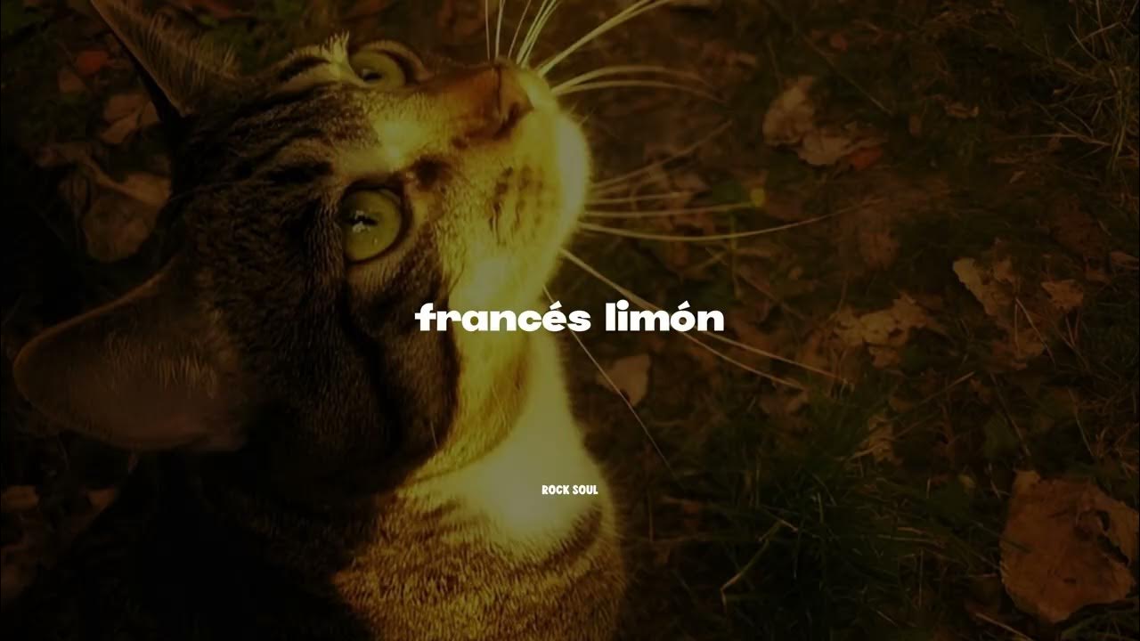 "Te besaré, me besarás...." || Frances Limón - Los enanitos verdes (Letra/Lyrics)