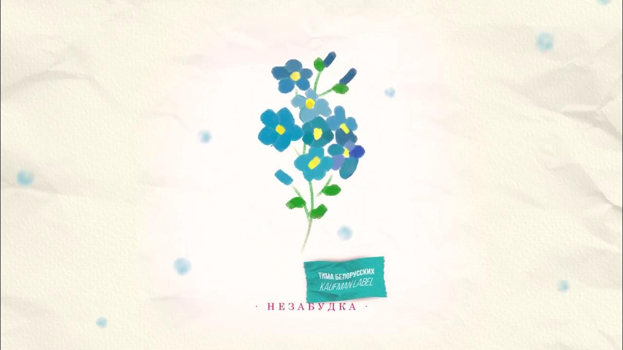 Тима Белорусских - Незабудка