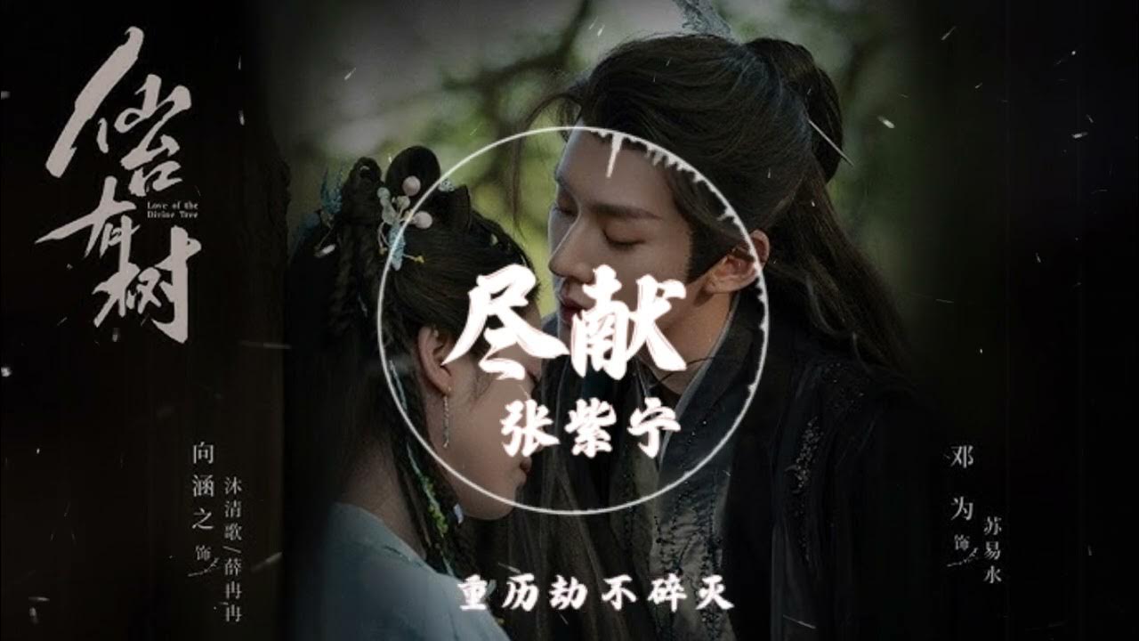 【影視劇《仙台有樹》】张紫宁  - 《尽献》『唯有情是普天难解的咒诀 又何需惊怪世人不知其解』动态歌词纯享版