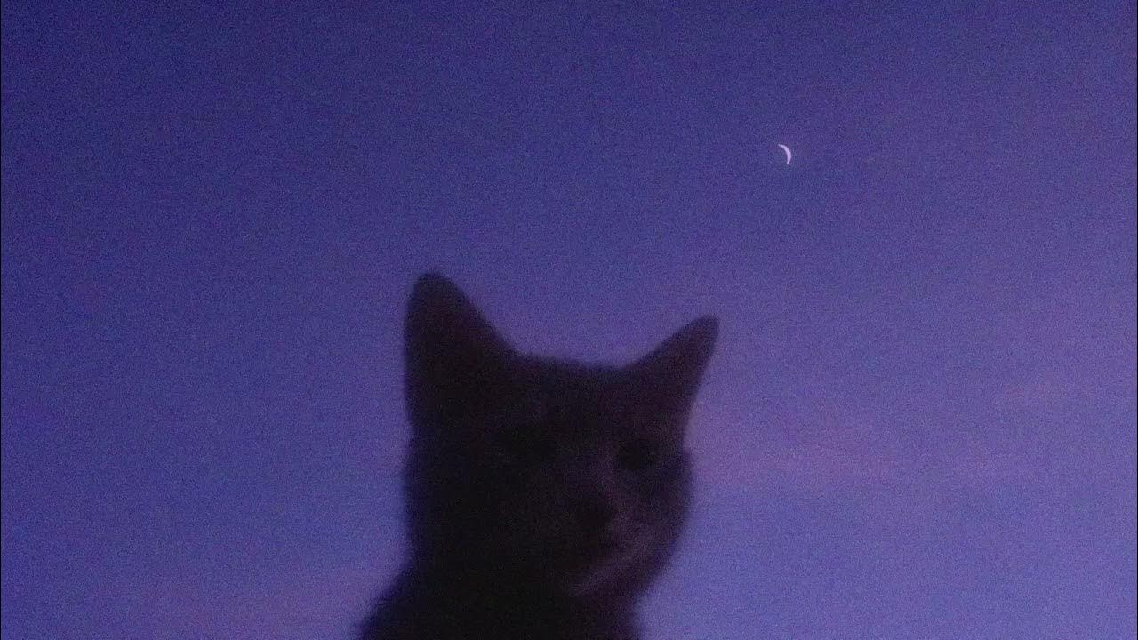 it's okay, go to sleep.