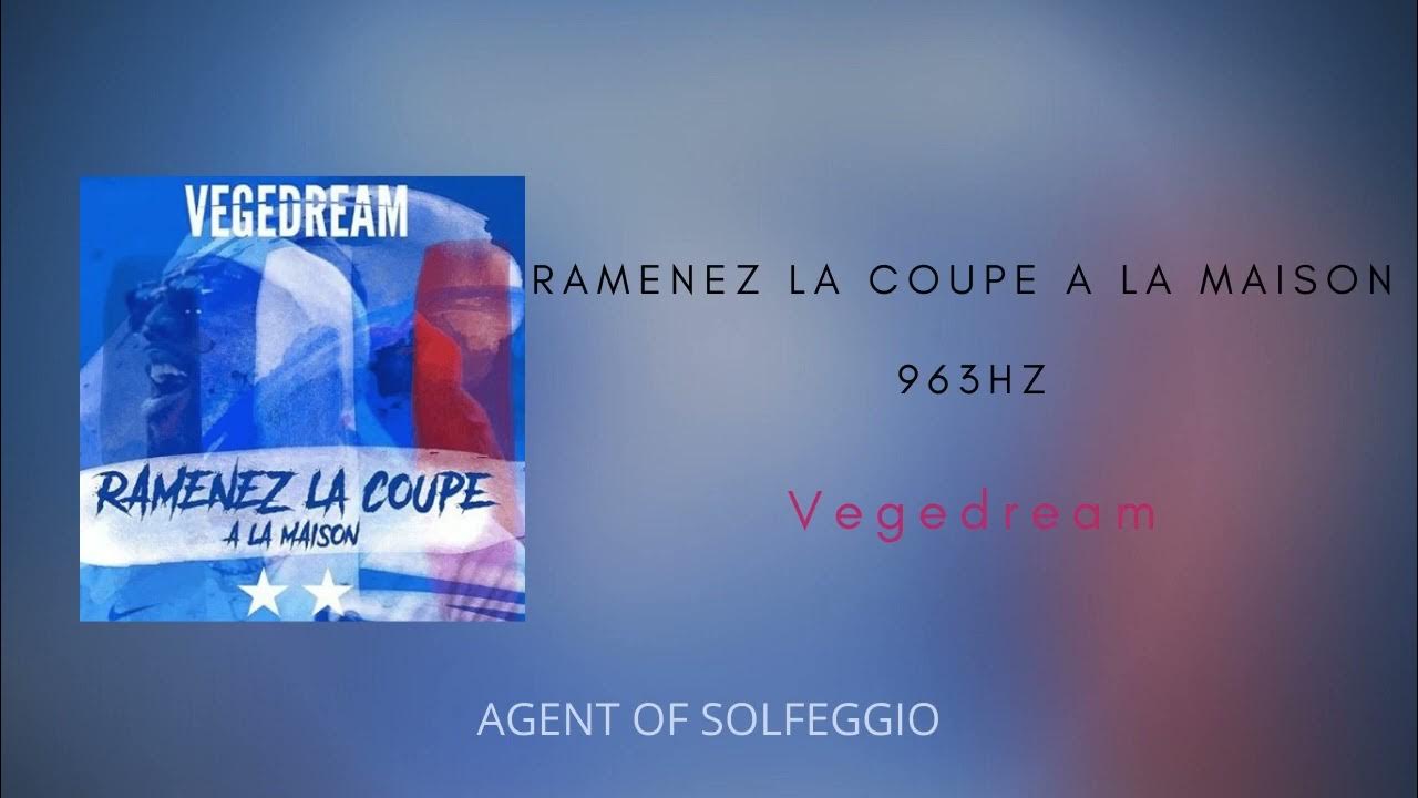 Ramenez la coupe à la maison - {B5= 963Hz} - Vegedream [Official Audio]