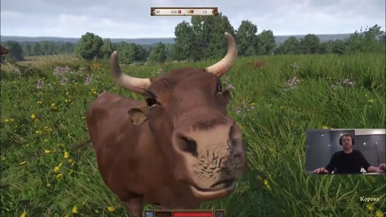 This streamer will be 40 in 5 years...